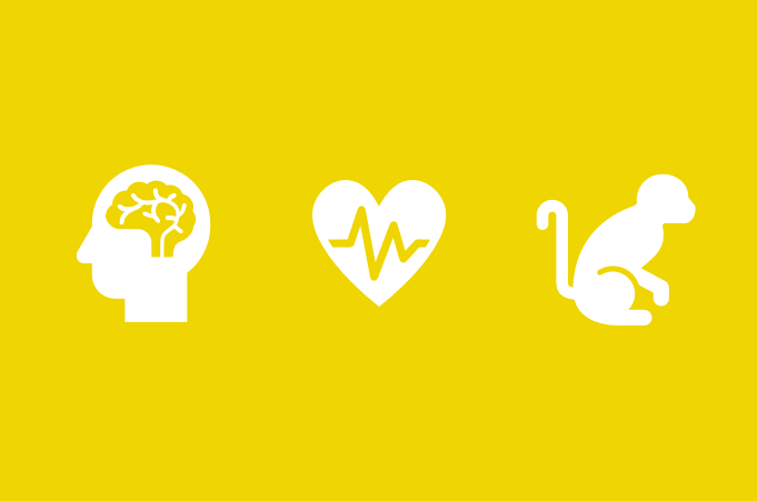 The evolutionary biology and neuroscience of Eibira